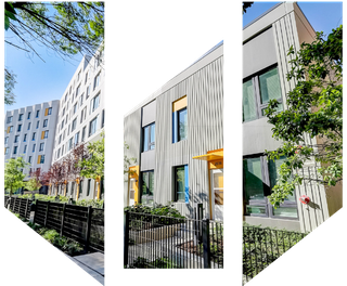 lucy gonzalez parson apartments